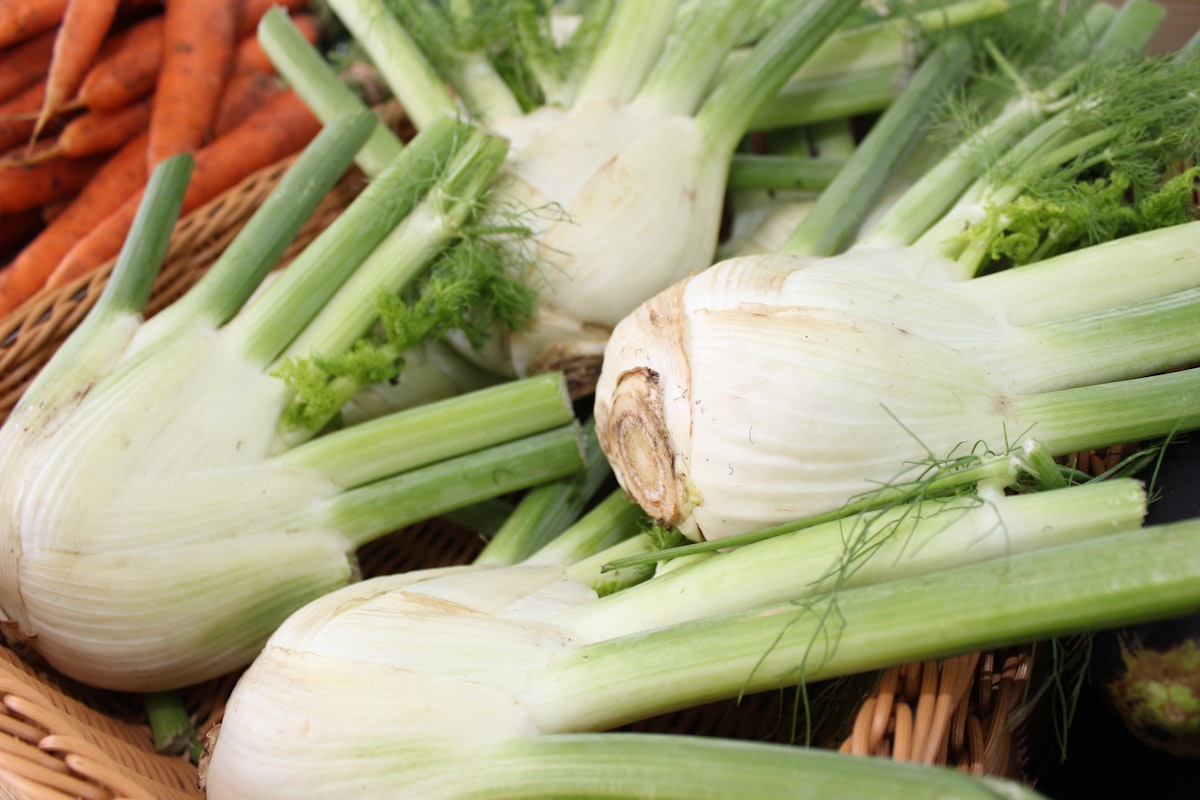Ingredientes naturales para digestión saludable
